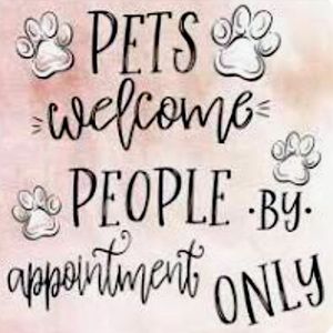 🐢💋Simply Southern💋 🍺 Coaster. Solo. W/ Easel🐶